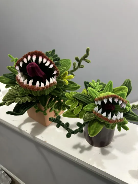 Two Venus flytraps with white teeth and open jaws, one showing a dark red tongue