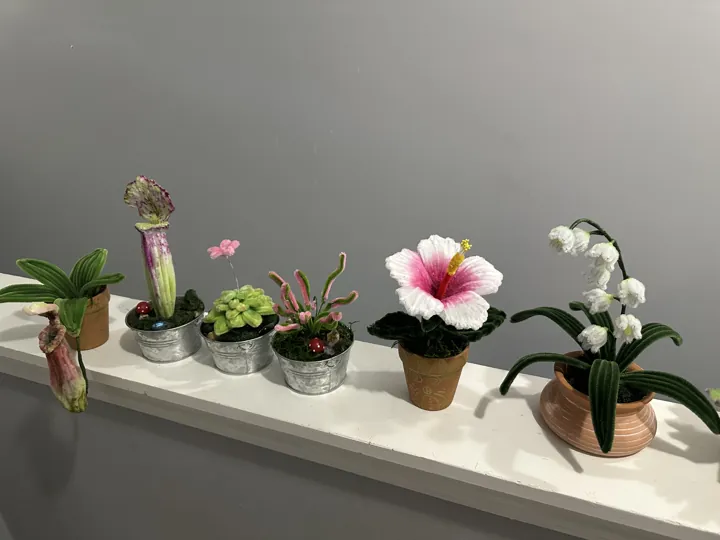 Six wire plants on a shelf: a pitcher plant, succulents, a flytrap, a pink hibiscus and a white orchid