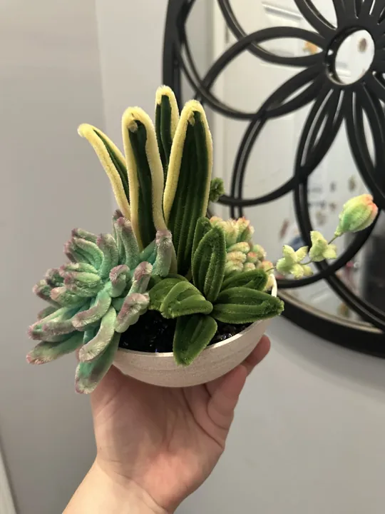 A bowl of mixed wire succulents in sage, mint and pale yellow