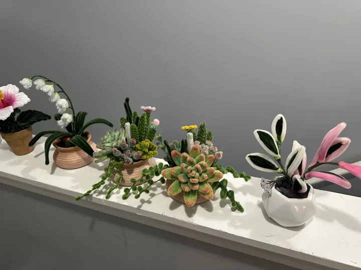 A shelf lined with wire succulents, an orchid and a hibiscus in small pots
